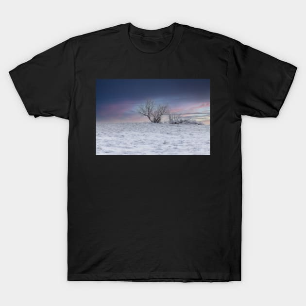 Grassland T-Shirt by gdb2